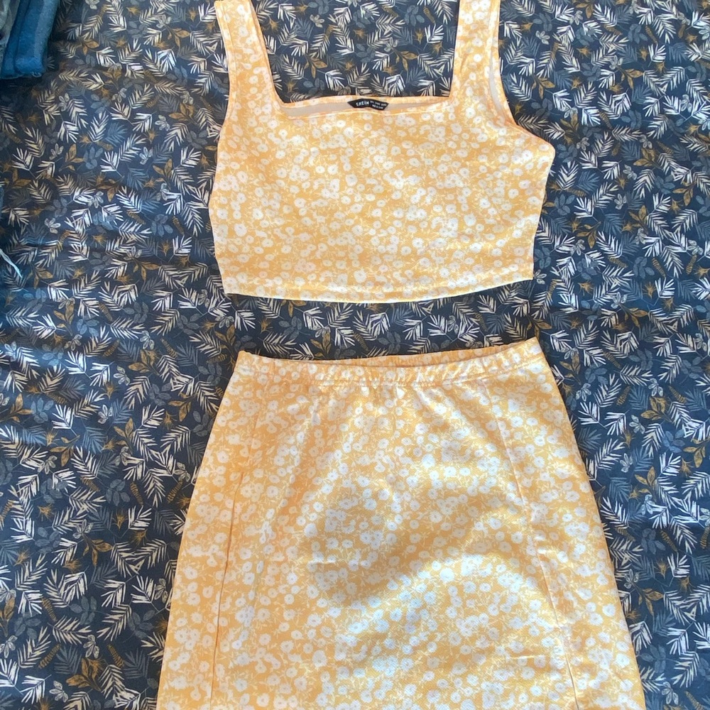 Skirt Set